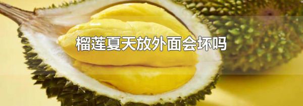 榴莲夏天放外面会坏吗