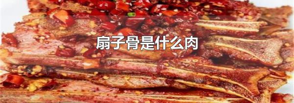 扇子骨是什么肉