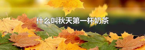 什么叫秋天第一杯奶茶