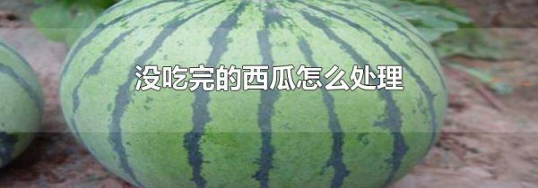 没吃完的西瓜怎么处理