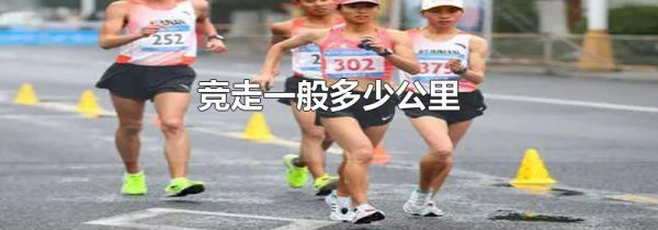 竞走一般多少公里