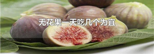 无花果一天吃几个为宜