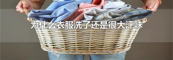 为什么衣服洗了还是很大汗味