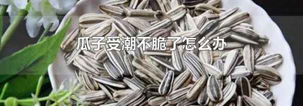 瓜子受潮不脆了怎么办