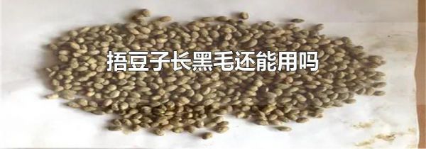捂豆子长黑毛还能用吗