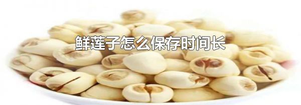 鲜莲子怎么保存时间长