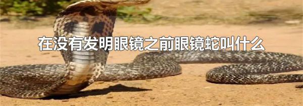 在没有发明眼镜之前眼镜蛇叫什么
