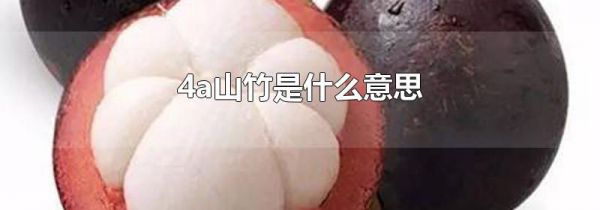 4a山竹是什么意思