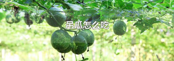 吊瓜怎么吃