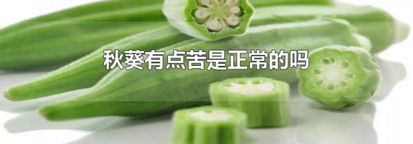 秋葵有点苦是正常的吗