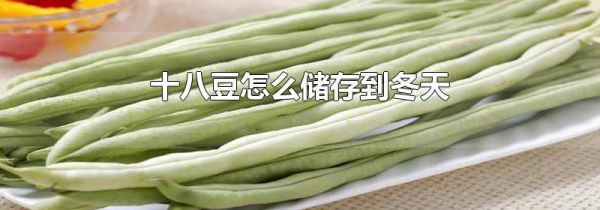 十八豆怎么储存到冬天