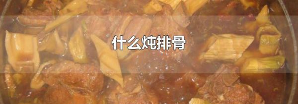 什么炖排骨