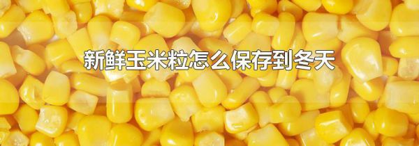 新鲜玉米粒怎么保存到冬天