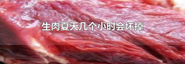 生肉夏天几个小时会坏掉