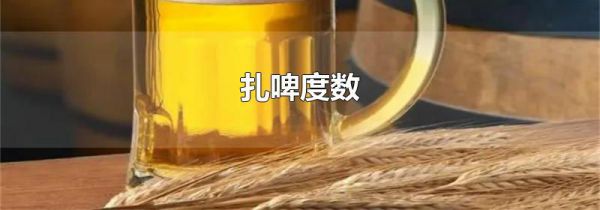 扎啤度数