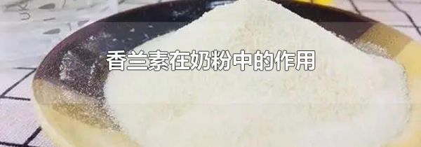 香兰素在奶粉中的作用