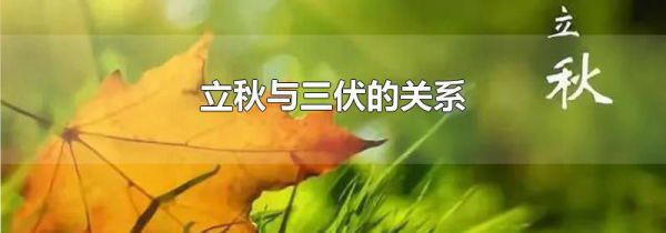 立秋与三伏的关系