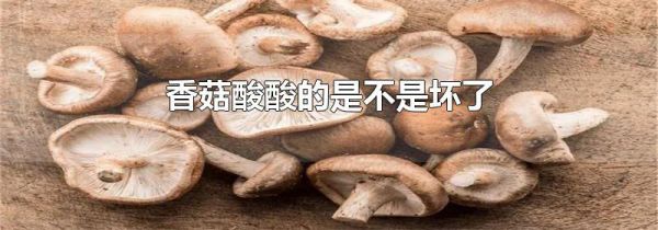 香菇酸酸的是不是坏了