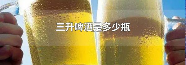 三升啤酒是多少瓶