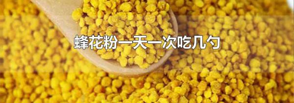 蜂花粉一天一次吃几勺