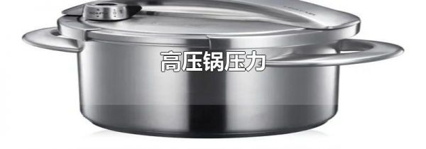 高压锅压力