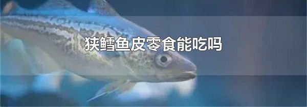 狭鳕鱼皮零食能吃吗