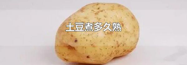 土豆煮多久熟