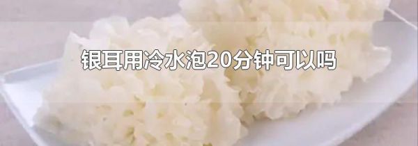 银耳用冷水泡20分钟可以吗
