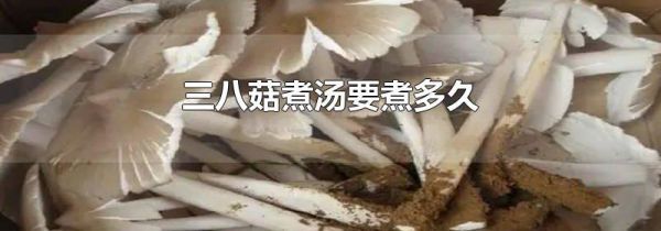 三八菇煮汤要煮多久
