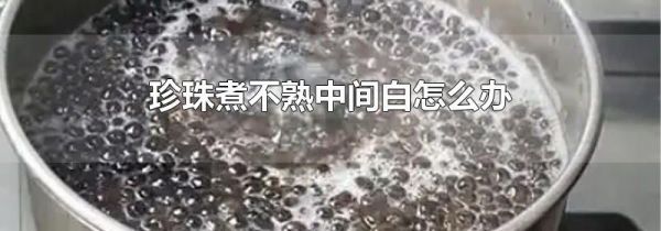 珍珠煮不熟中间白怎么办