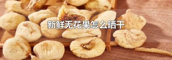 新鲜无花果怎么晒干