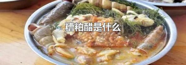 糟粕醋是什么
