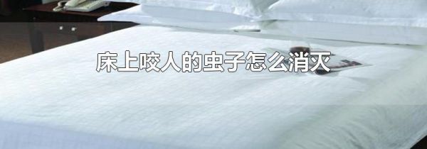 床上咬人的虫子怎么消灭