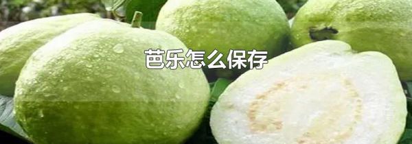 芭乐怎么保存