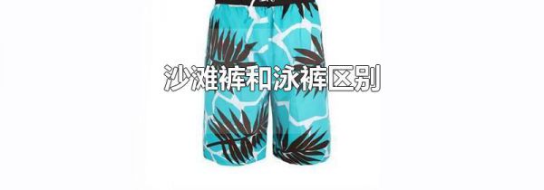沙滩裤和泳裤区别
