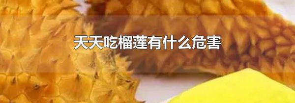 天天吃榴莲有什么危害