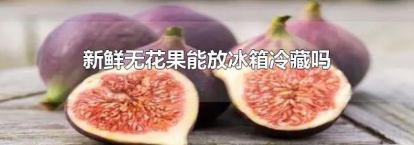 新鲜无花果能放冰箱冷藏吗