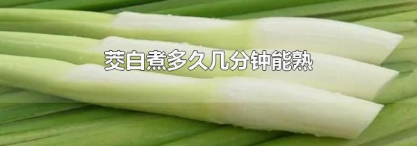 茭白煮多久几分钟能熟