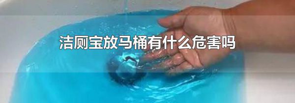 洁厕宝放马桶有什么危害吗