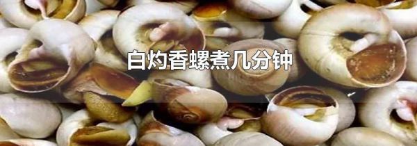 白灼香螺煮几分钟