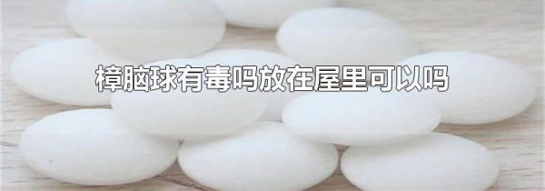 樟脑球有毒吗放在屋里可以吗