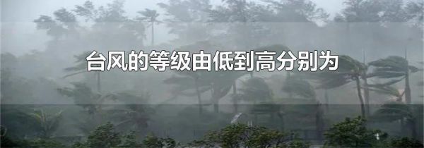台风的等级由低到高分别为