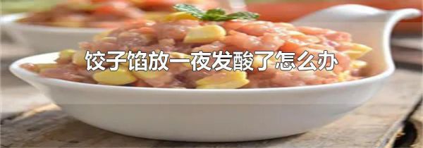 饺子馅放一夜发酸了怎么办