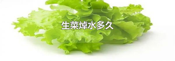 生菜焯水多久