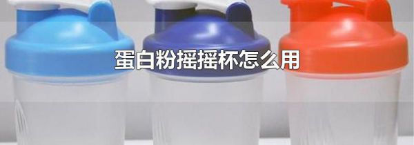 蛋白粉摇摇杯怎么用