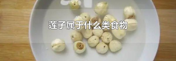 莲子属于什么类食物