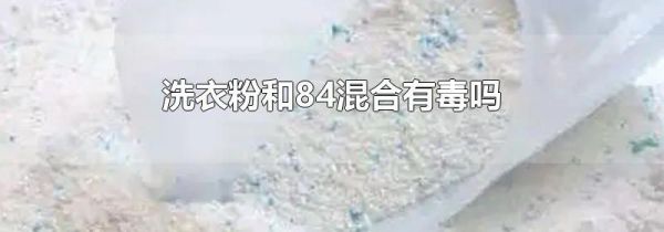 洗衣粉和84混合有毒吗