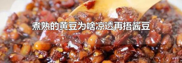 煮熟的黄豆为啥凉透再捂酱豆