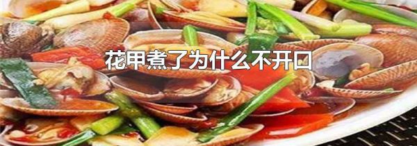 花甲煮了为什么不开口