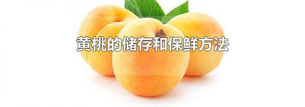 黄桃的储存和保鲜方法
